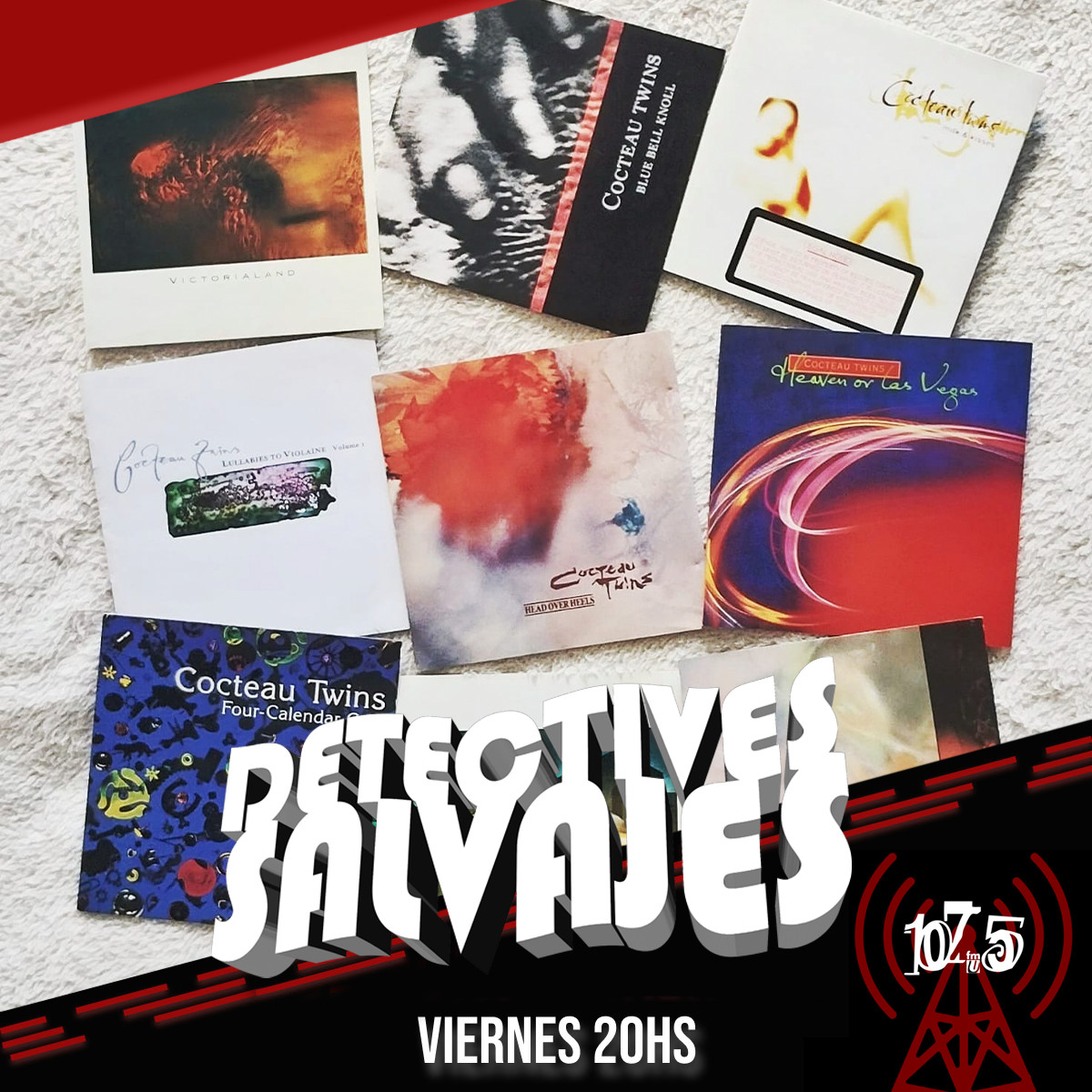 DETECTIVES SALVAJES